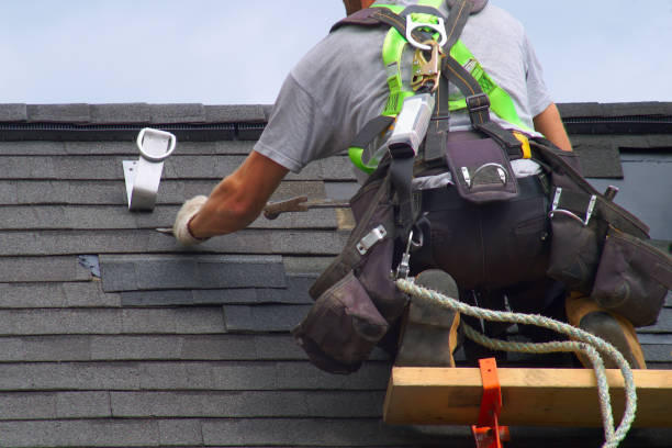 Best Roof Gutter Cleaning  in South Pasadena, FL